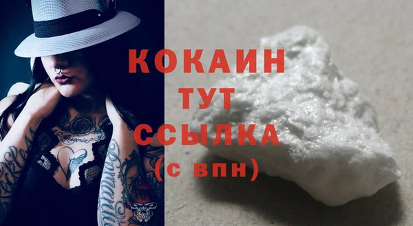 соль ск Абаза