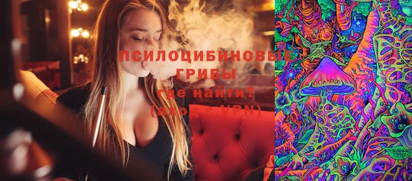 соль ск Абаза