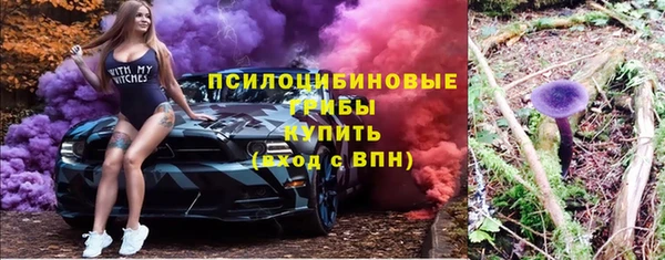 соль ск Абаза
