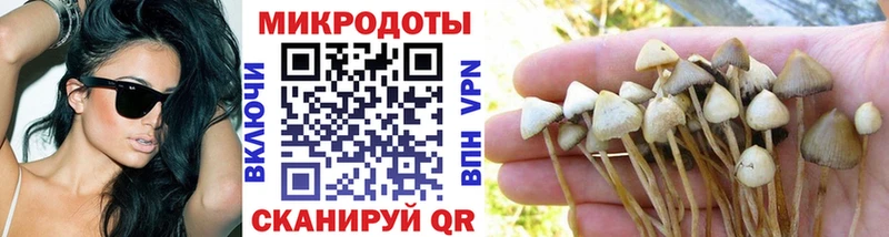 это формула  дарнет шоп  Александров  Псилоцибиновые грибы Cubensis 